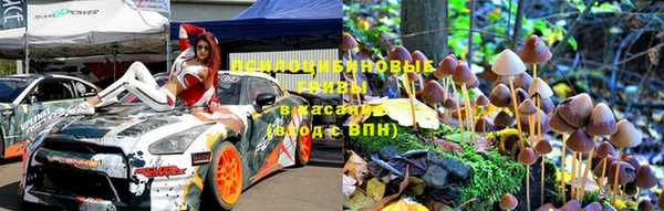 хмурый Сатка