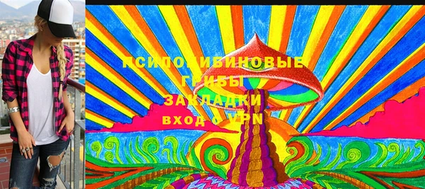 apvp Алексин
