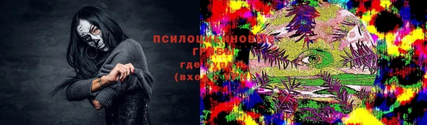 apvp Алексин