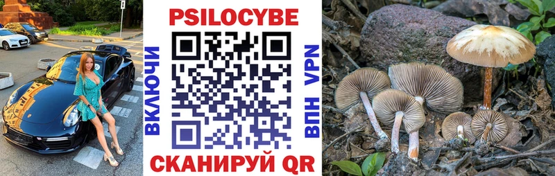 гидра ССЫЛКА  Обоянь  Псилоцибиновые грибы Cubensis 